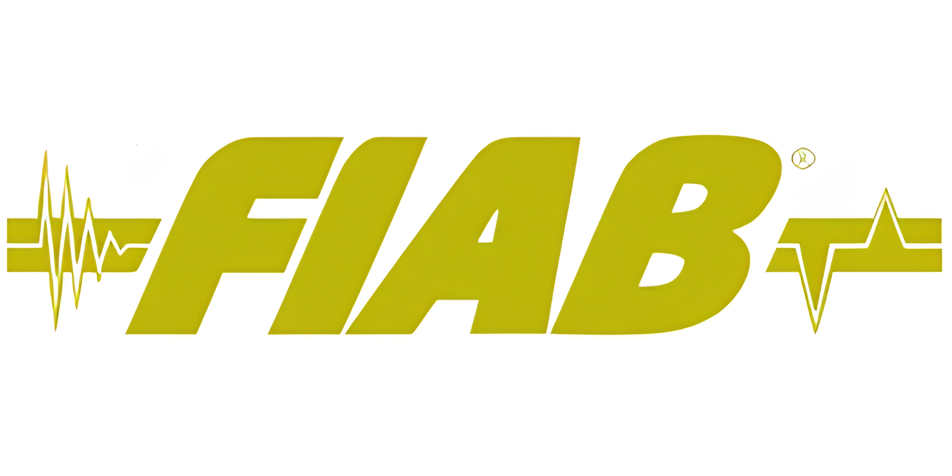 FIAB Spa