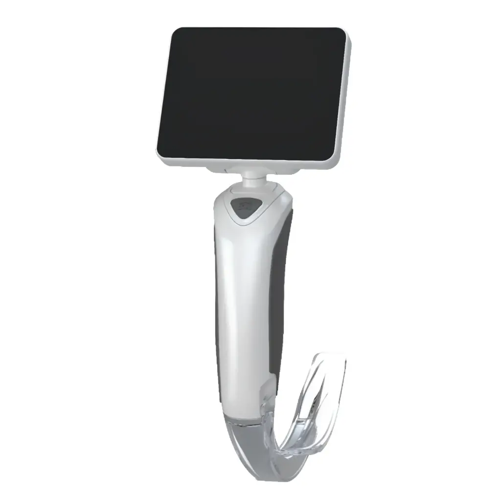 I-VL-01-0003, I-VL-01-0004 (2).webp